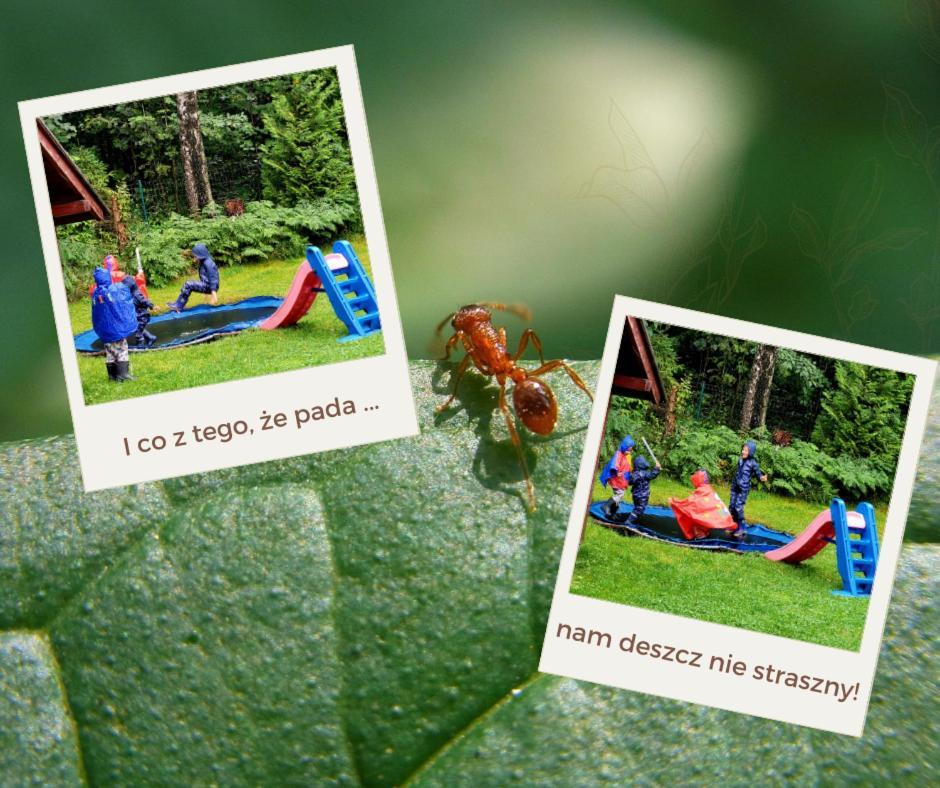 Chata Goralska Aggeusz Wisła Buitenkant foto