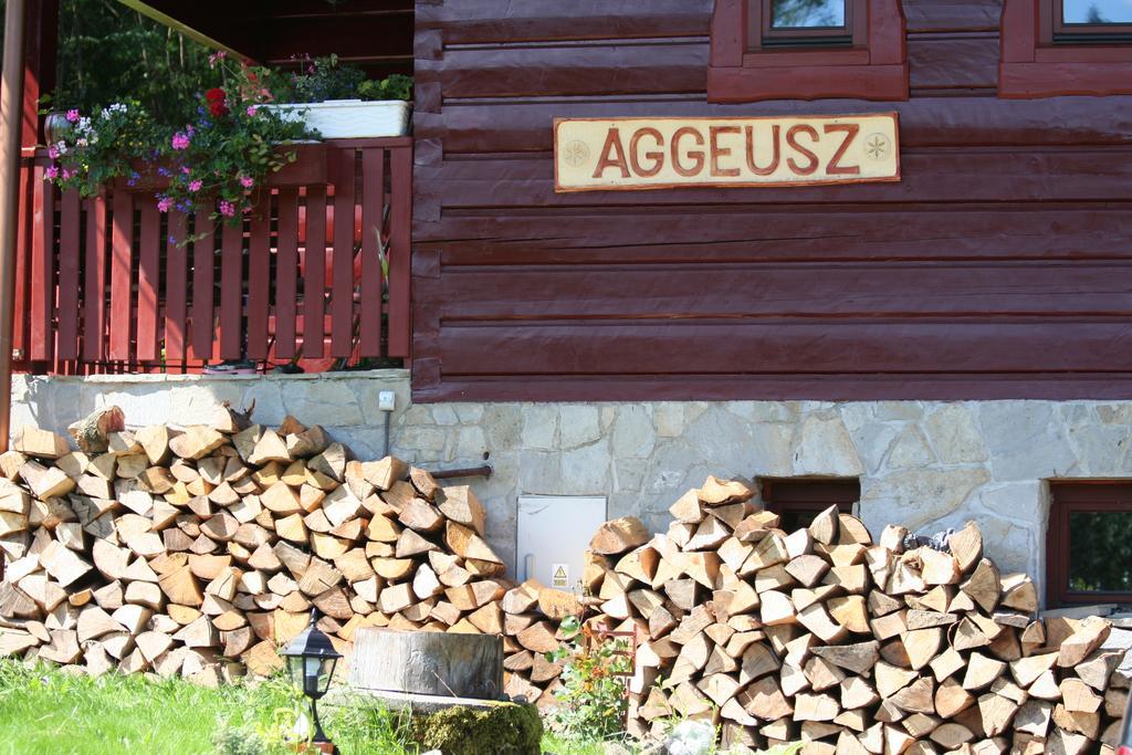 Chata Goralska Aggeusz Wisła Buitenkant foto
